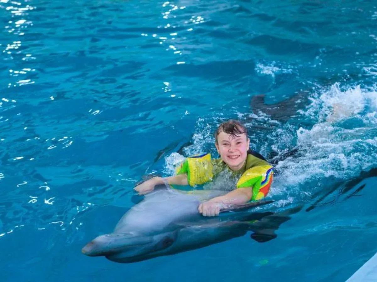 Swim with Dolphins — 3