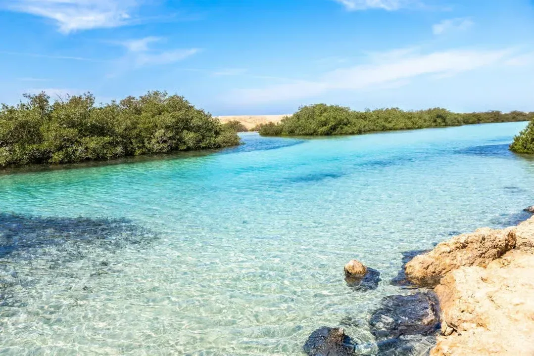 Ras Mohammed National Park – Half-Day Bus Tour — 5